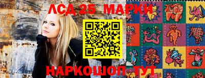 тгк Краснодар