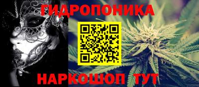 тгк Краснодар