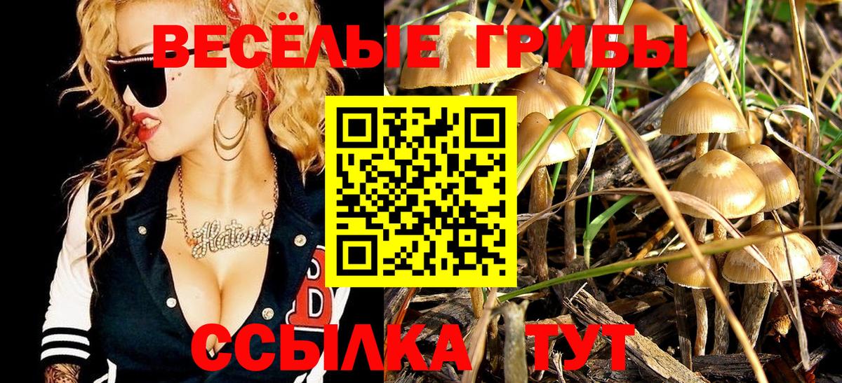 Бирск  Галлюциногенные грибы прущие грибы  Вход с VPN 