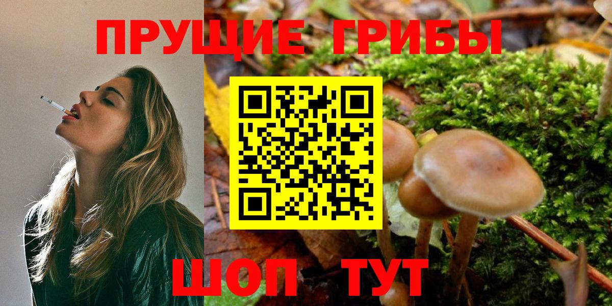 Галлюциногенные грибы прущие грибы Бирск